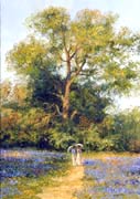 Bluebells and Edwardian Ladies